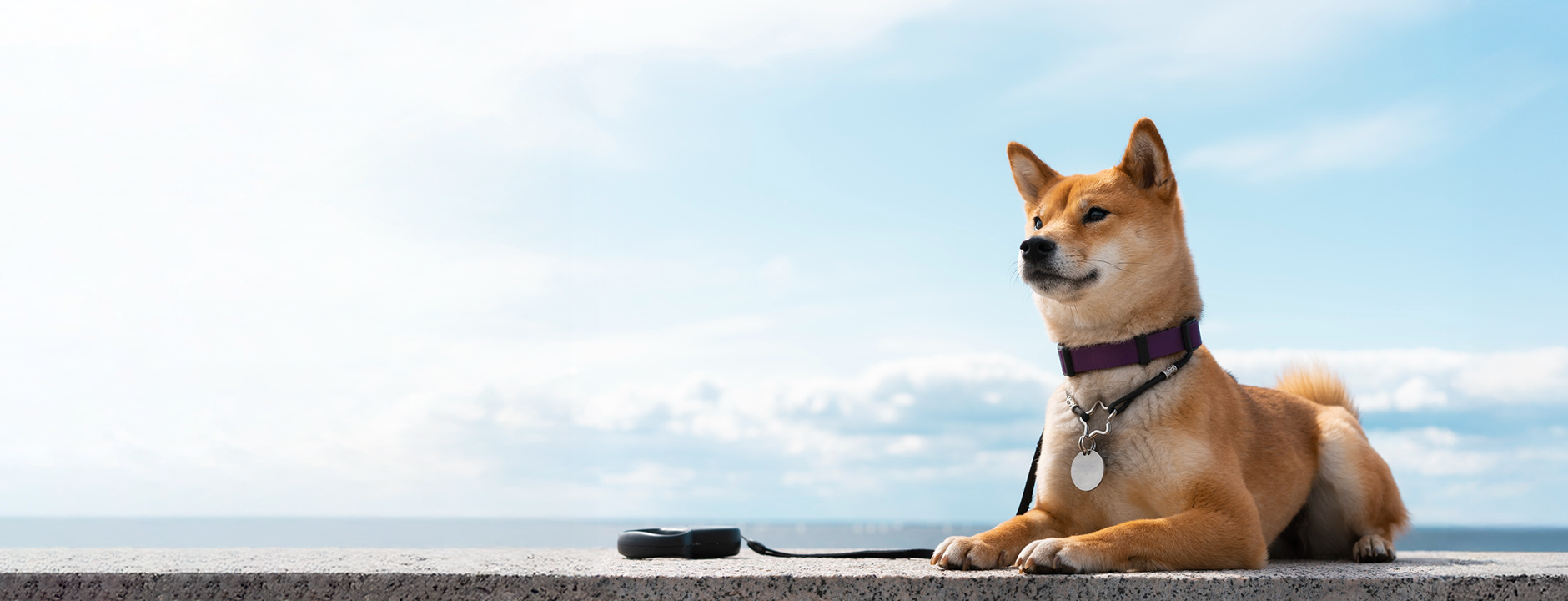 slider image slider_item_dCFmLK