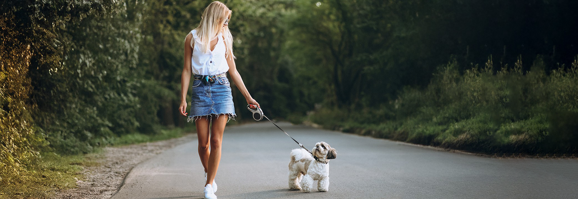 slider image slider_item_kiPDY3